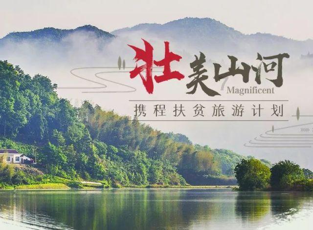 丛林森林逃生
