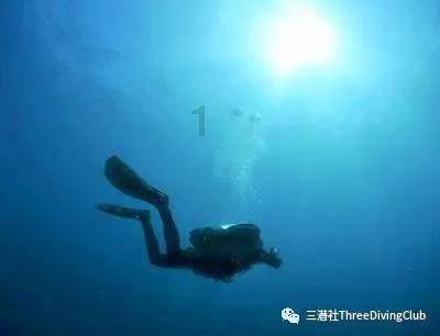 悲伤兔大冒险