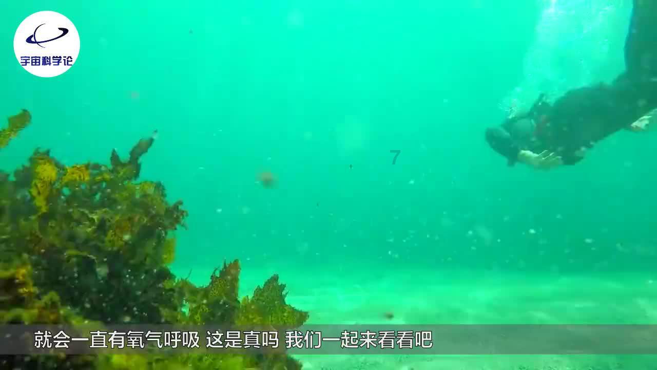 【生活科普】羽绒类产品为什么可以保暖？冬季科学穿衣指南