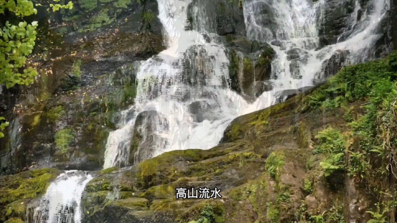 逃离潮湿的房屋