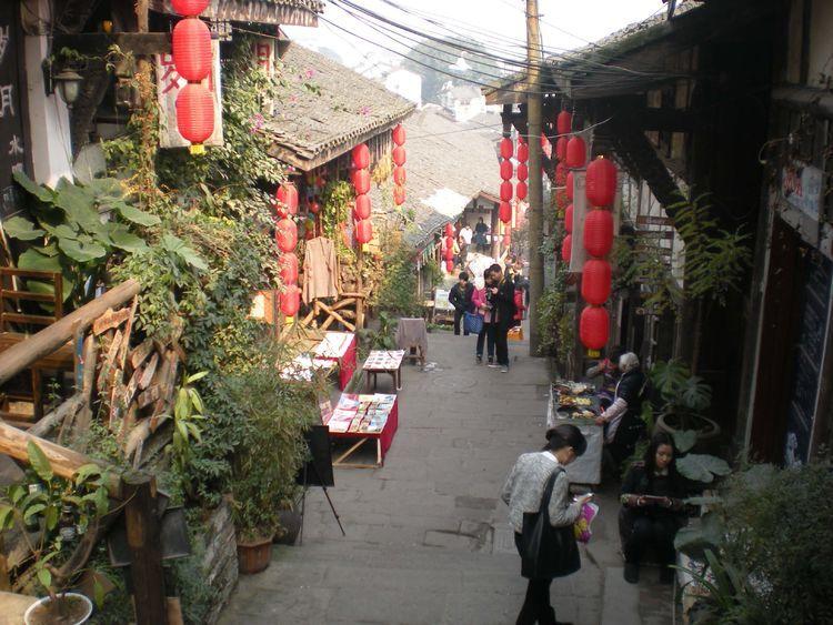 泰迪狗狗吃完消口付多久可以吃庆大霉素？游戏画面