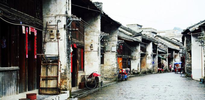 种养循环让小庭院变成“聚宝盆”